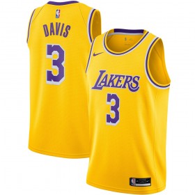 Dres Los Angeles Lakers Anthony Davis 3 2020-21 Nike Icon Edition Swingman